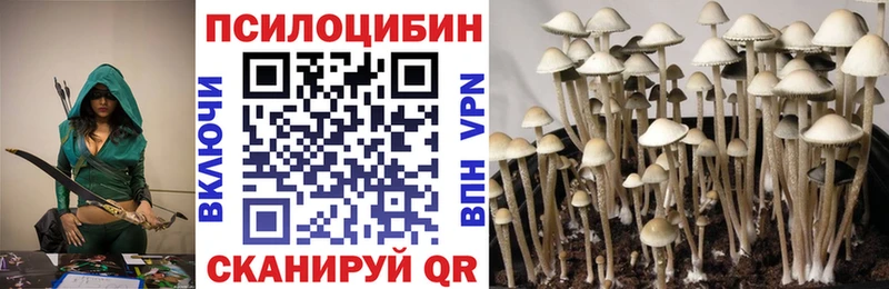Псилоцибиновые грибы мицелий Курчалой